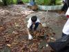 A student is trying his best to clean-up the leaves.