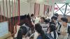 Students and teachers had the opportunity to interact with the horses.