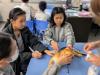 Students tries to apply a hand bandage for an injured dog. 